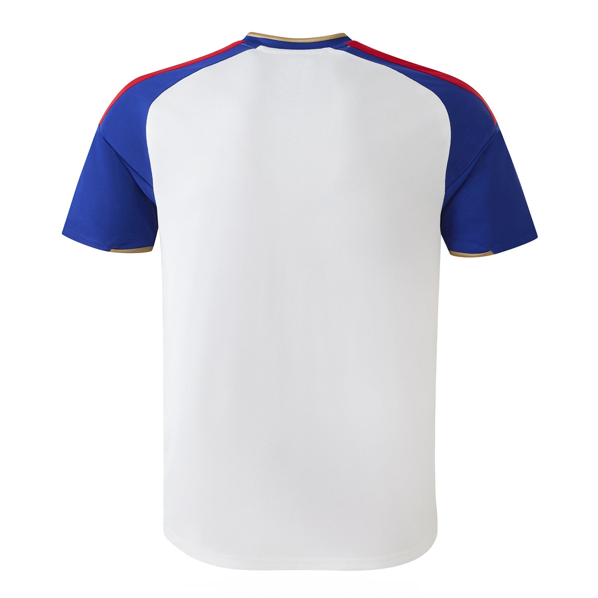 Olympique Lyonnais